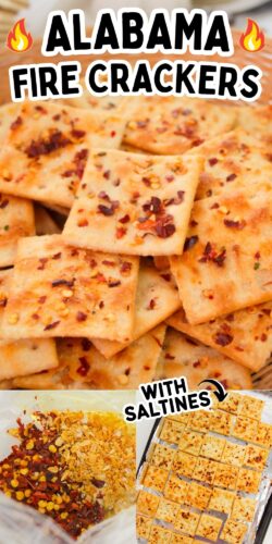 Alabama fire crackers with saltines pin image.