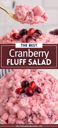 Pinterst pin, reads: the best cranberry fluff salad and shows the pink fluff with marshmallows and pecans.