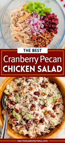Collage of cranberry chicken salad ingredients including pecans, celery, onion, craisins, and shredded chicken, in a mixing bowl and the finished salad in a serving bowl, with text overlay 'The Best Cranberry Pecan Chicken Salad.'