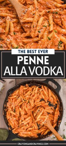 The Best Ever Penne Alla Vodka pin.