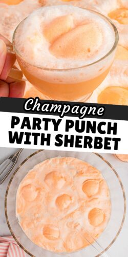 Champagne Party Punch with Sherbet pin.