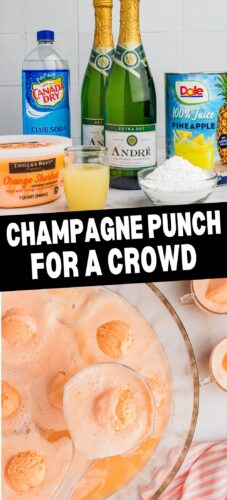Champagne Punch for a crowd pin with punch in punch bowl topped with orange sherbet scoops and ingredients shown.