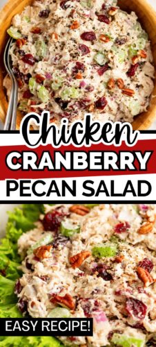Collage of cranberry chicken salad in a serving bowl and served on lettuce, with text overlay 'Chicken Cranberry Pecan Salad, easy recipe.'