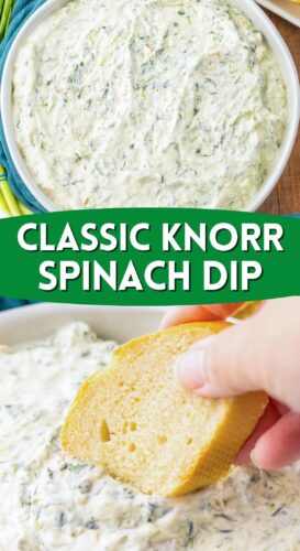 Classic Knorr Spinach Dip Pin.