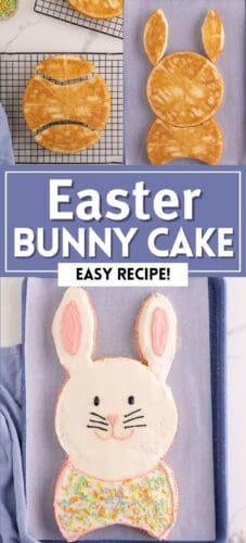 Collage pin with step-by-step images of round cakes cut and arranged into an Easter bunny shape beside the finished frosted bunny cake. Large text reads &ldquo;Easter Bunny Cake&rdquo; and &ldquo;Easy Recipe!&rdquo;
