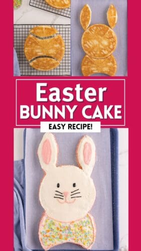Collage pin showing how to make bunny rabbit cake. Text reads: Easter Bunny Cake: Easy Recipe".