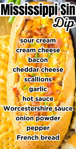 Mississippi Sin Dip pin with ingredients listed on it.