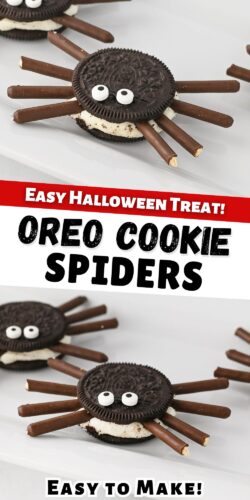 Oreo Cookie Spiders Pin: Easy Halloween Treat, Easy to Make!