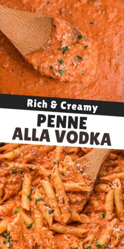 Rich and Creamy Penne Alla Vodka pin.