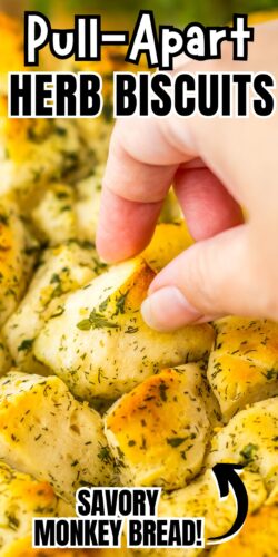 Pull-apart herb biscuits; savory monkey bread pin.