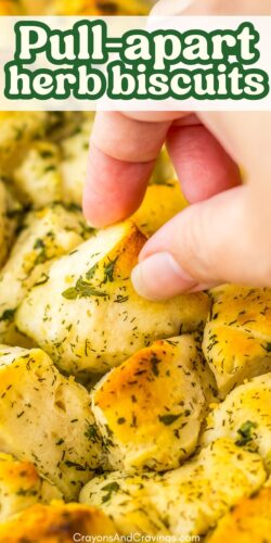 Pull-apart Herb Biscuits pin.