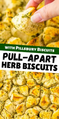 Pull-apart herb biscuits with pillsbury biscuits pin.
