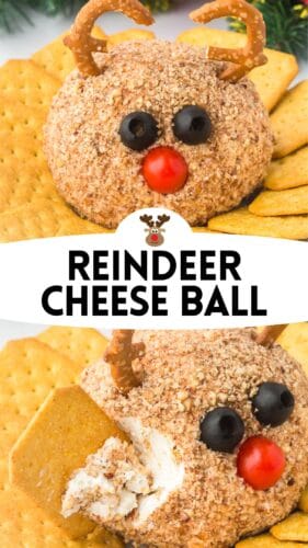 A reindeer shaped christmas cheese ball decorated with black olives, a cherry tomato, and pretzel antlers. One image shows it whole, and the other shows a cracker scooping cheese. Text reads "Reindeer Cheese Ball" with a reindeer graphic above.