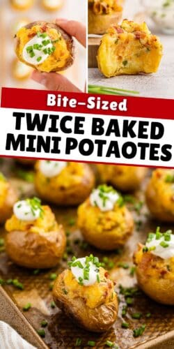 A collage pin featuring the title "Bite-Sized Twice Baked Mini Potatoes" with a close-up of a hand holding a loaded mini potato and a partially eaten one revealing its creamy filling.